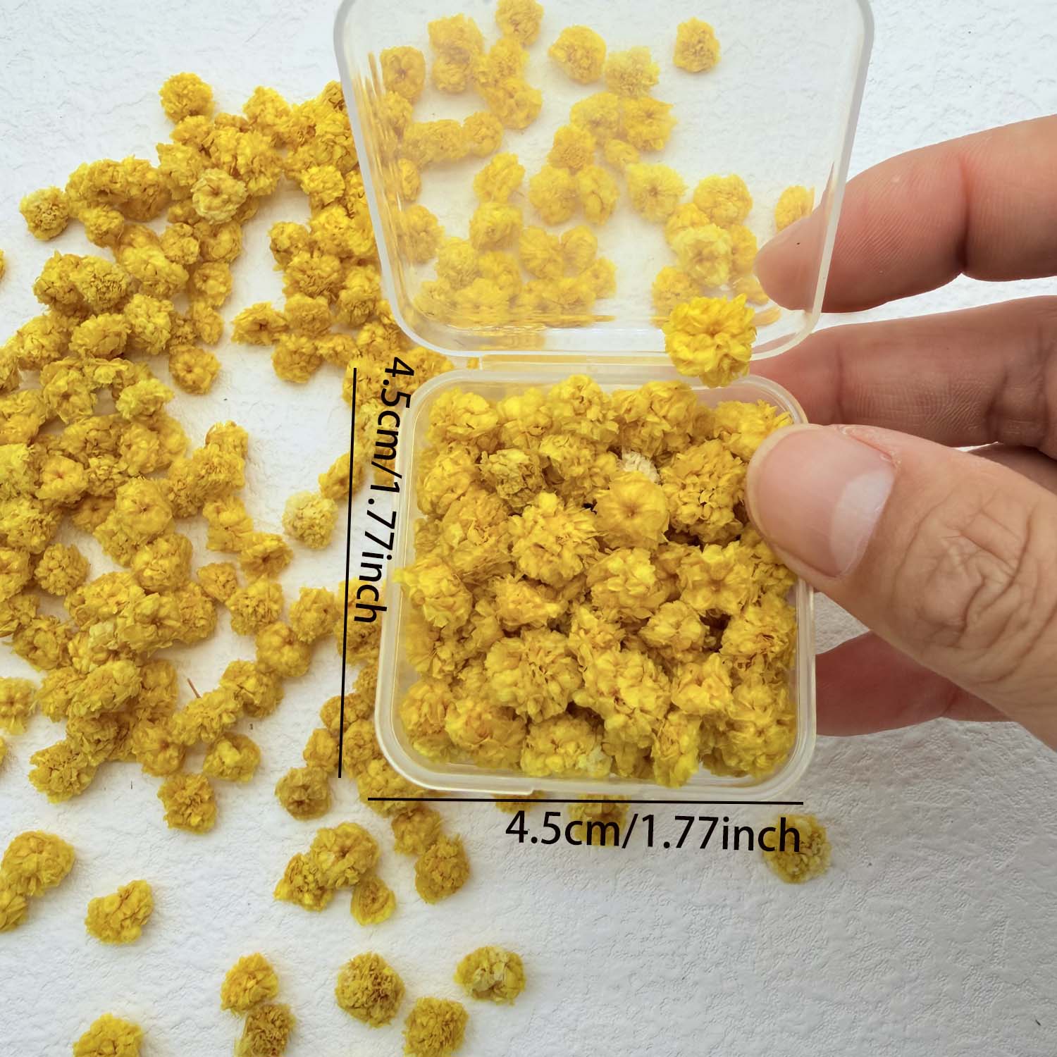 1 Box Colorful Flower Heads Ha - Resin Art Design ulasan dan harga