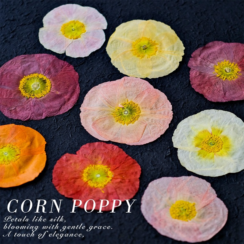 1pcs,Nature Field Poppy Presse - Resin Art Design ulasan dan harga