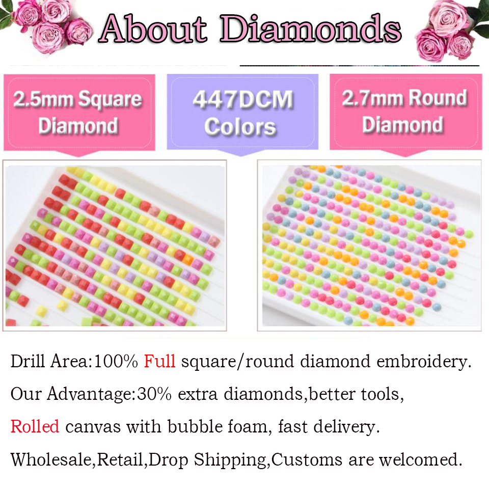 1pc frameless  5D Diamond art  - Resin Art Mary ulasan dan harga